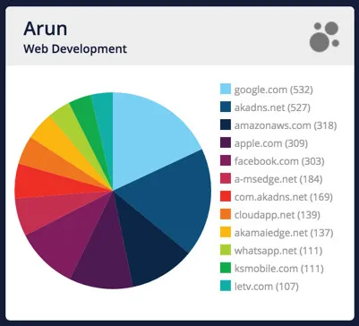 The image displays pie charts showing role distributions and proficiency percentages for six individuals in different job roles.